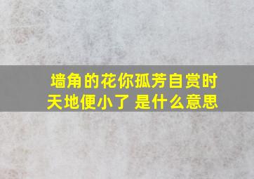 墙角的花你孤芳自赏时天地便小了 是什么意思